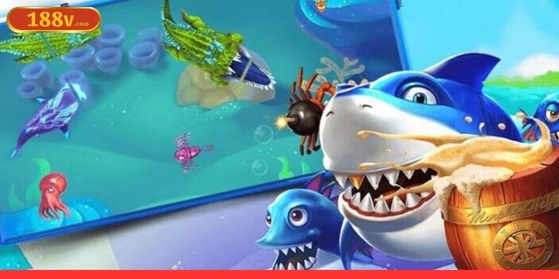 Cân nhắc khi chọn bàn săn cá