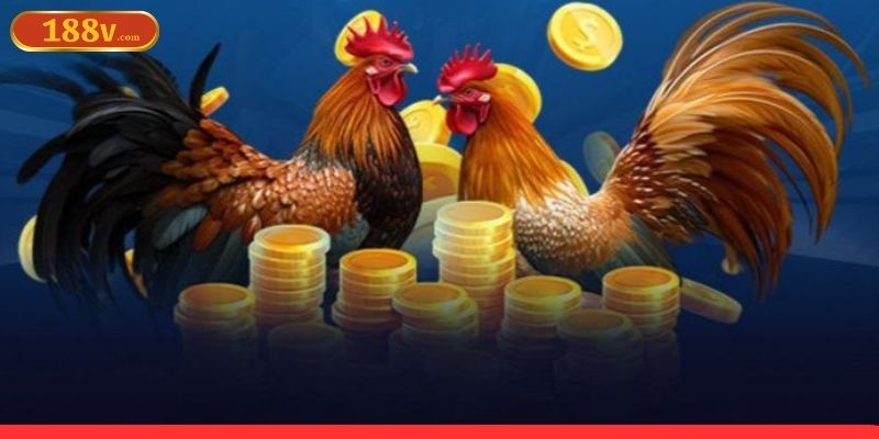 Cửa BDD mang lại tỷ lệ thưởng cao hơn